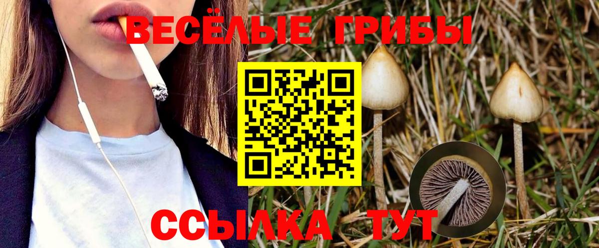 Псилоцибиновые грибы GOLDEN TEACHER  Псилоцибиновые грибы GOLDEN TEACHER  Чехов  Вход с VPN 